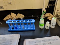 化工厂储物柜密码转舌锁哪种好？高环境适应性锁具推荐